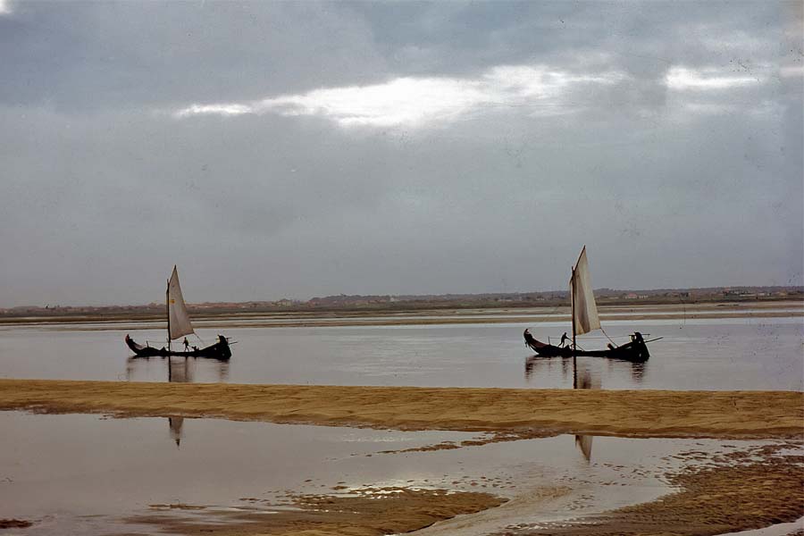 Ria de Aveiro